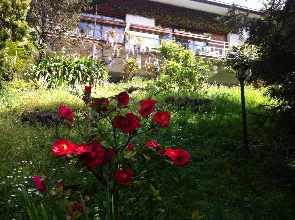 B&B Le Ortensie -Lago Di Como Lierna Exteriör bild